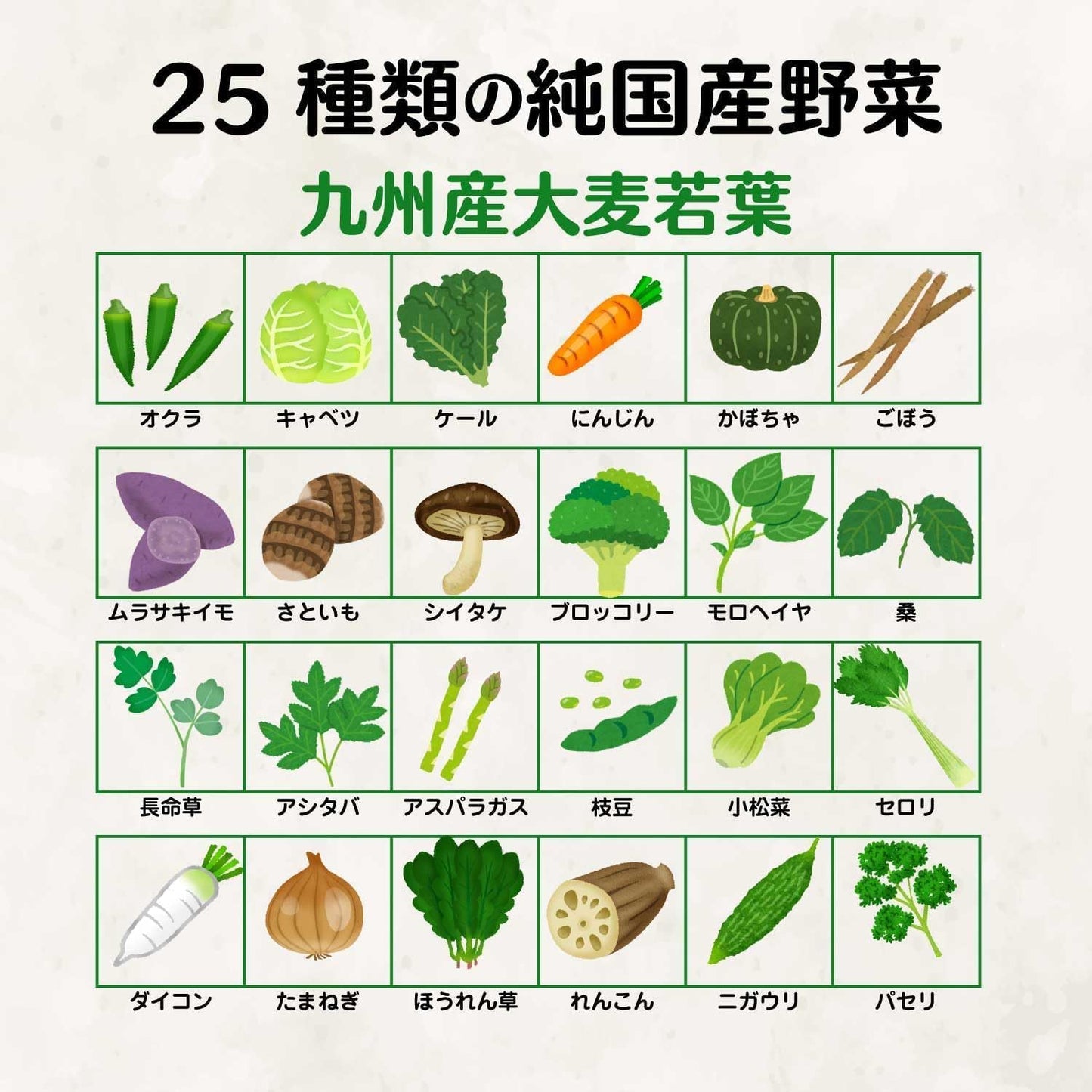 ผงผัก โพรไบโอติก สกัดจากพืชผักญี่ปุ่น 25 ชนิดพร้อมสารสกัดจาก เอนไซม์ และ แลคติคแบคทีเรีย กล่องใหญ่